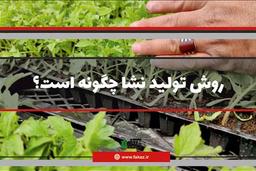 روش تولید نشا