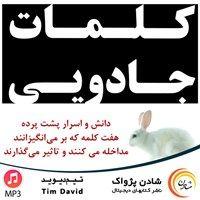 کلمات جادویی