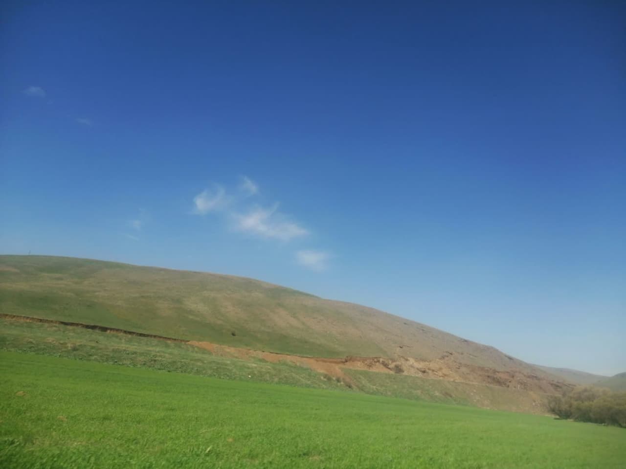 بهار اینجاست....