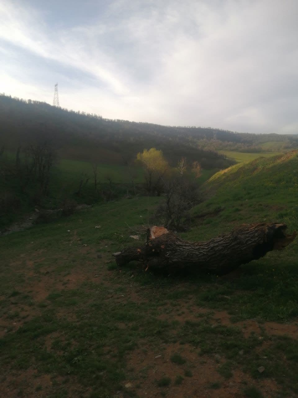 یه کوچولو سفر هم رفتیم اما واقعا واقعا سخت بود