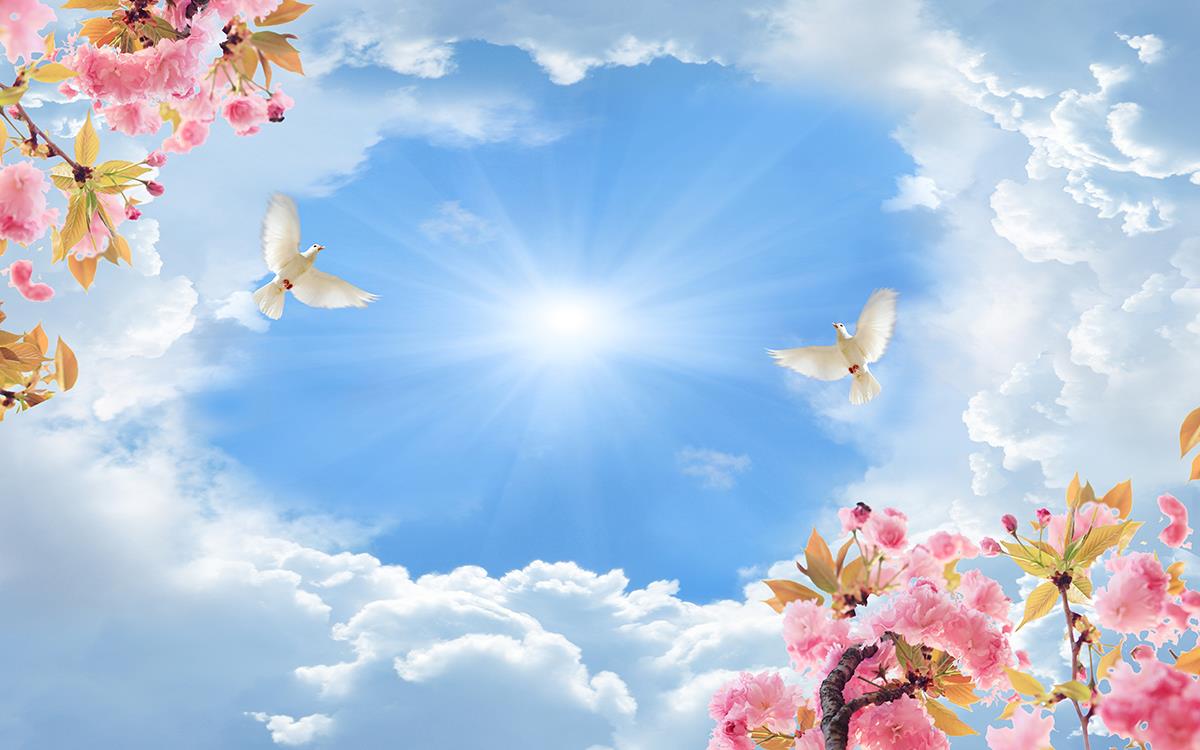 حسم  در آن لحظه یک چیزی مثل این تصویر بود!