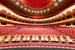 در امتدادِ کبودی‌ها...