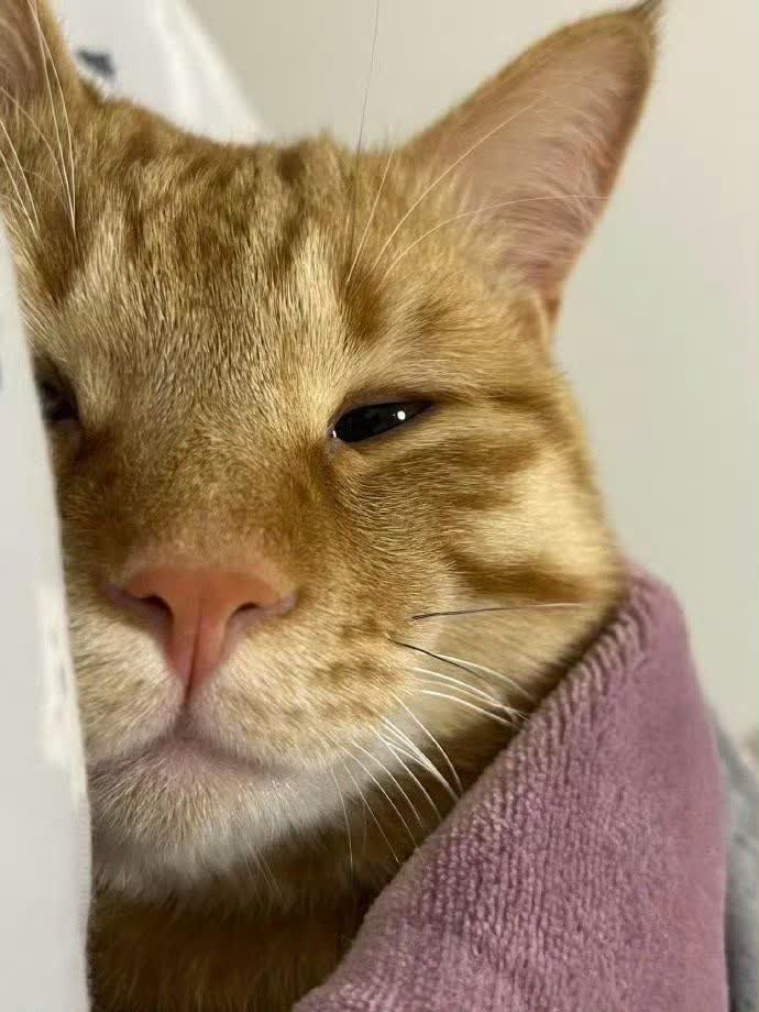 یکی زیر این عکس نوشته بود : وقتی آقایون سرما میخورن...!! خواستم از این تریبون بگم: خیلی حق بود ! خیلی