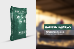 آمینو اسید والین چیست؟ | تاثیر والین در تغذیه طیور