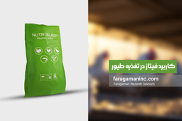 فیتاز چیست؟ | آنزیم فیتاز | کاربرد فیتاز در تغذیه طیور