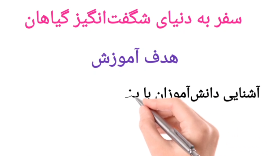 طراحی انیمیشن وایتبرد (Whiteboard Animation)