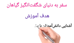 اصول طراحی انیمیشن وایت‌برد