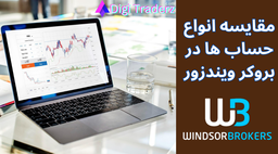 انواع حساب در ویندزور بروکرز