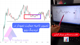 کلاهبرداری بروکر آلپاری - ماجرای کندل سازی آلپاری چیست؟