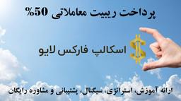 گوشه ای از خدمات فارکس اسکالپینگ لایو