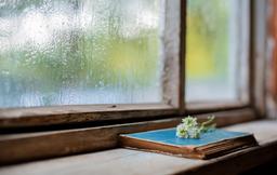 باران ، زیباتر از هر زمان...