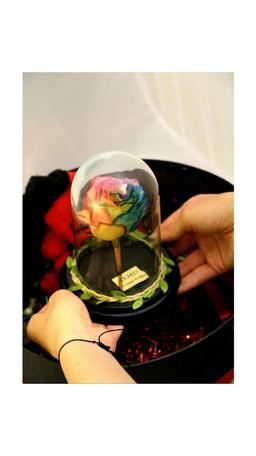 رز جاودان دیو و دلبر