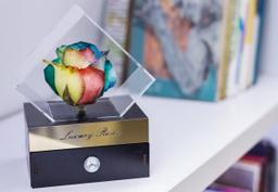 رز جاودان چیست؟؟