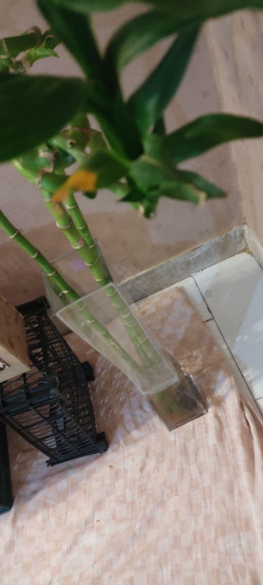 مشکلات احتمالی