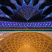 تارا ر.