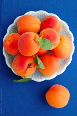 آقای خَردالو