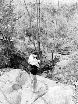 مجتبی آیرونساید