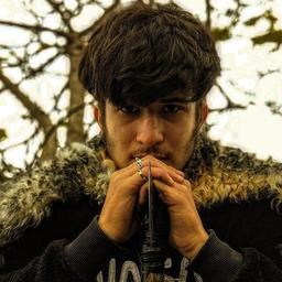 مجتبی آیرونساید