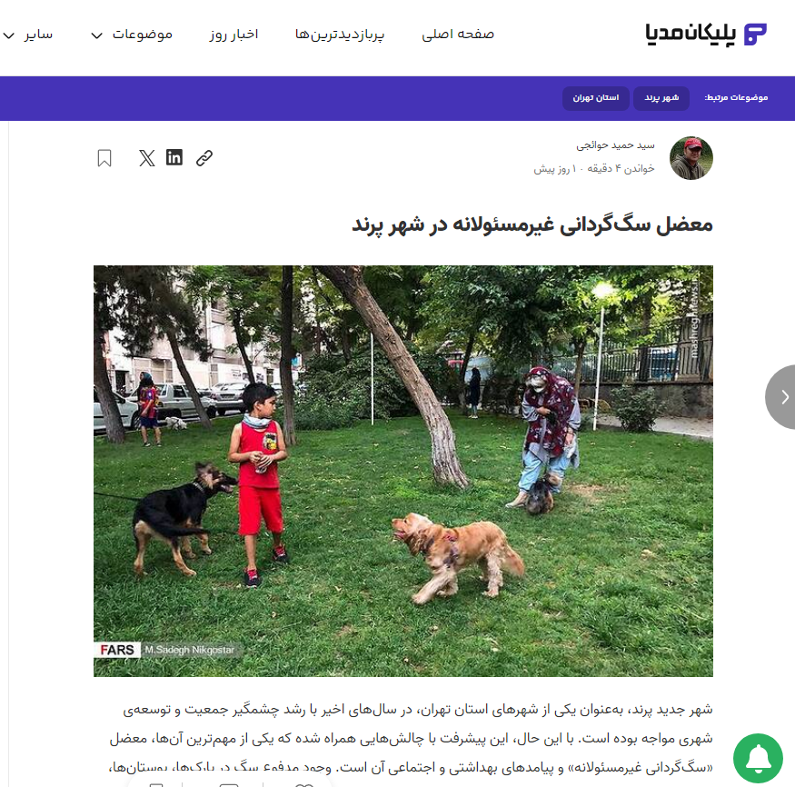 یک نمونه از مطالب من در سایت متخلف پلیکان مدیا