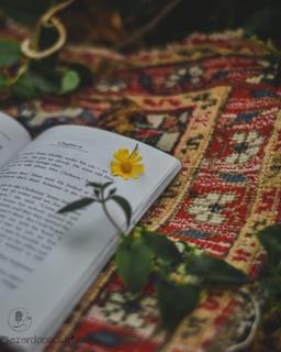 چرا برخی اوقات به یکباره دلتنگ کسی میشوید ؟??