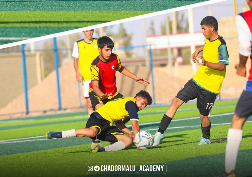 امیر محمد بادروج