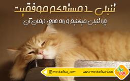 تنبل نباشیم!!