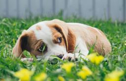 خیابان طویل اما .....