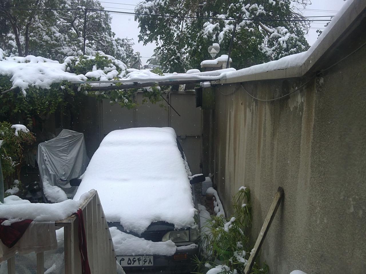 یکی یکی دست بچه هام، جلوی چشام شکست!