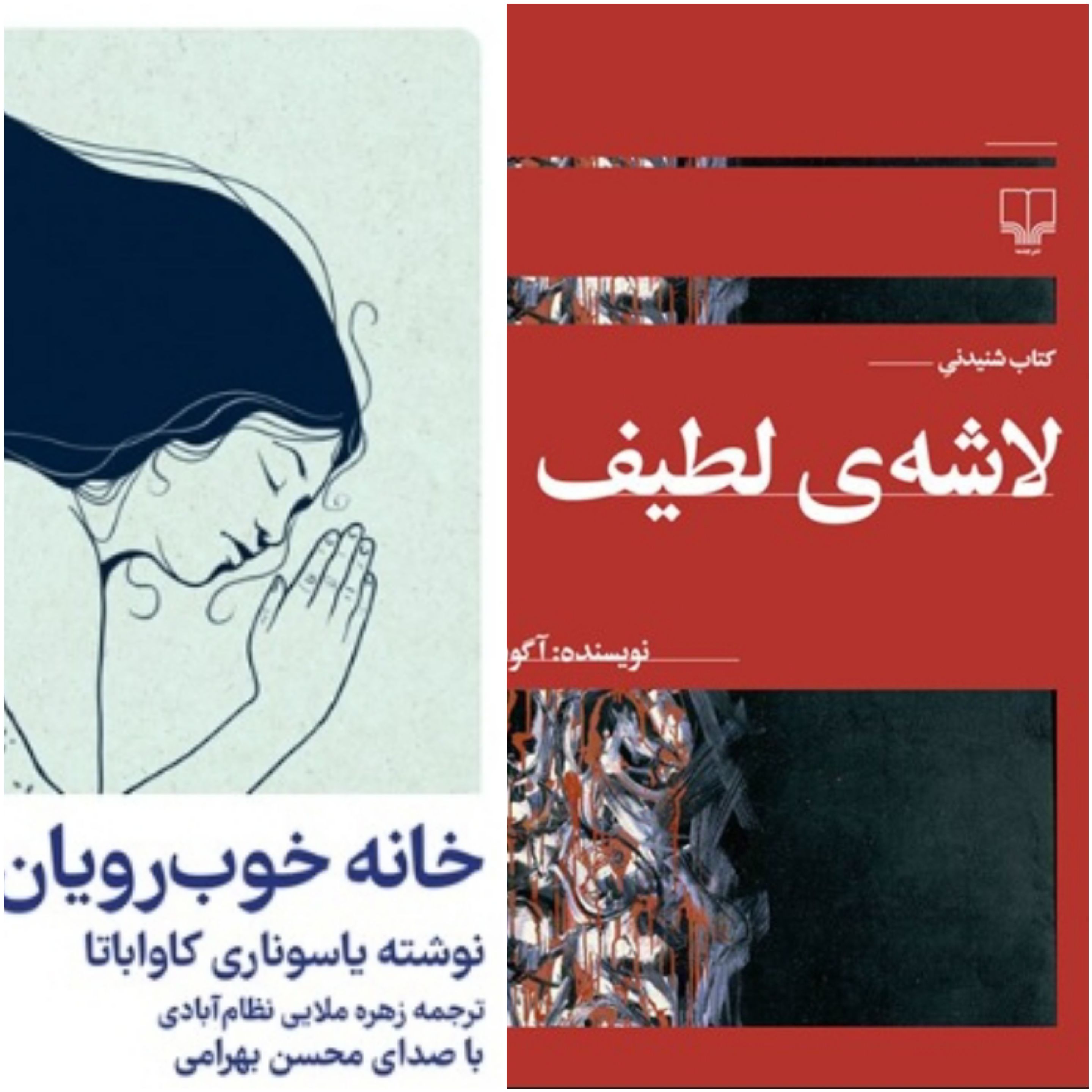 کتاب صوتی یا شوک فرهنگی؟ روایت خواب‌زدگی فرهنگی من! 🔞