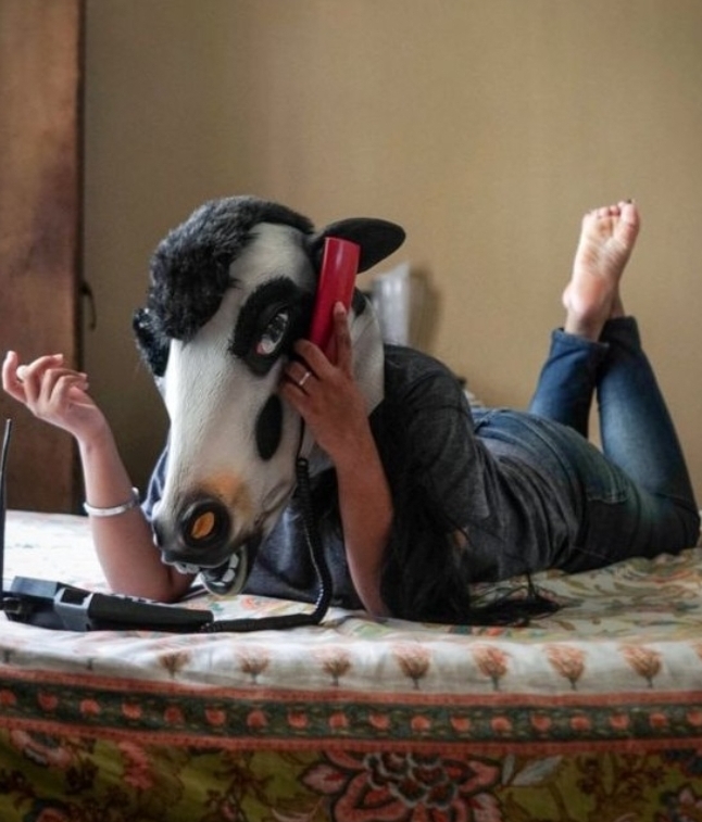 خودگاوی: انسان بدون خودکاوی!