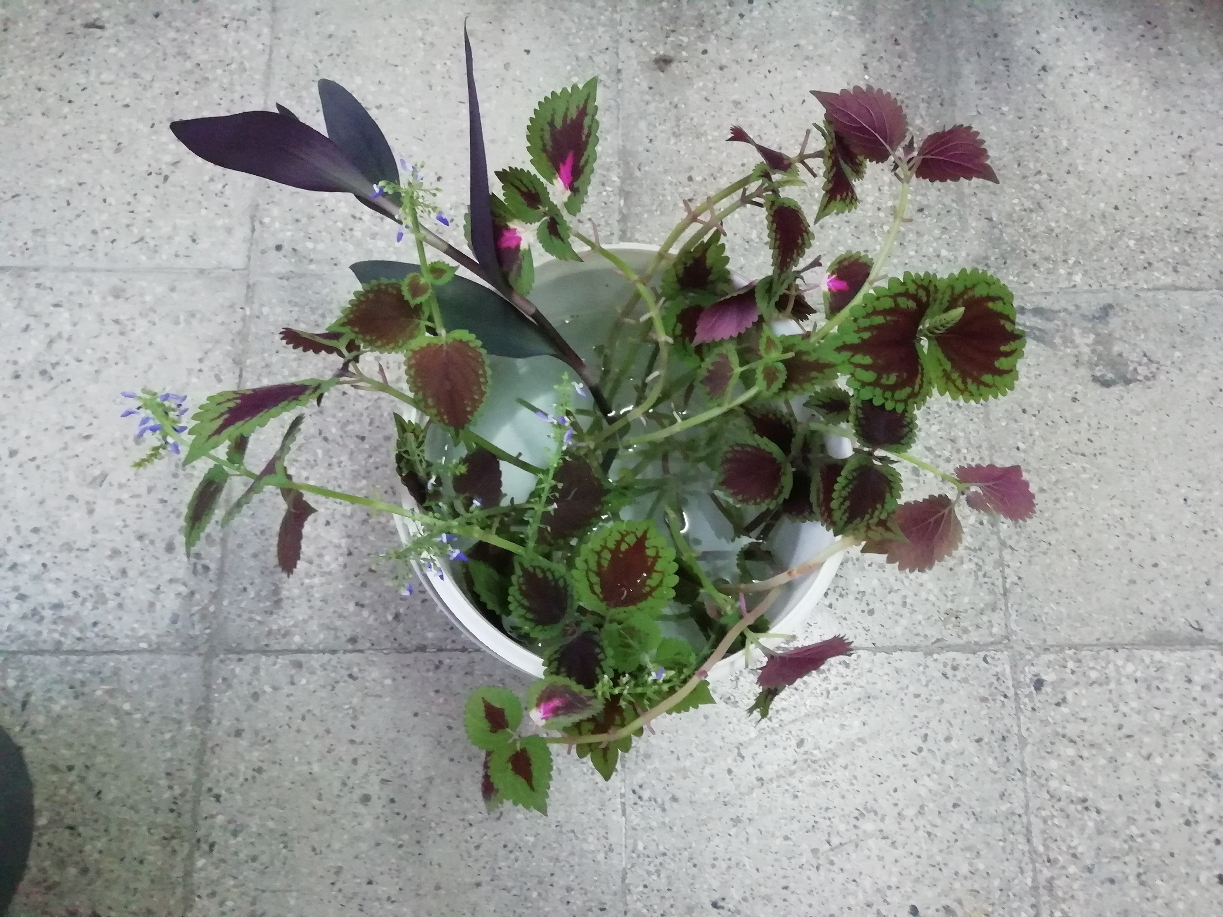 من خودم را دور نمی‌اندازم!