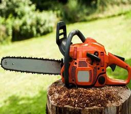 اژدهای درخت‌خوار!