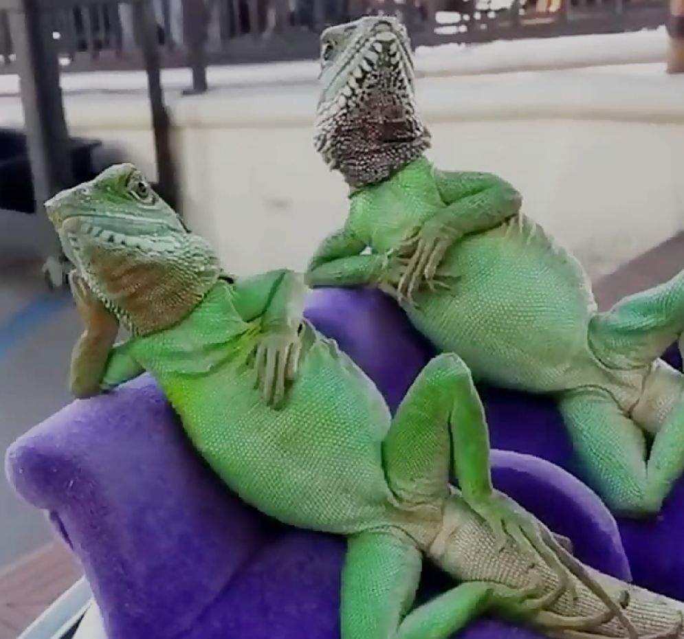 نیازمندی‌ها (۱: به چند مسئول و مدیر با سوابقِ زیر برای... نیازمندیم!)