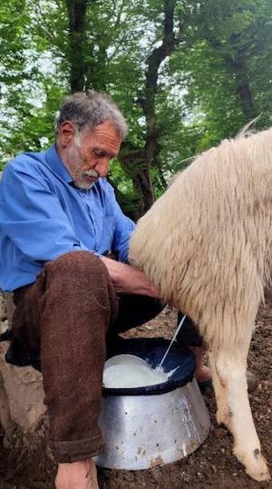 در جنگ اقتصادی، تولیدکننده باشیم یا انگل سودجو؟