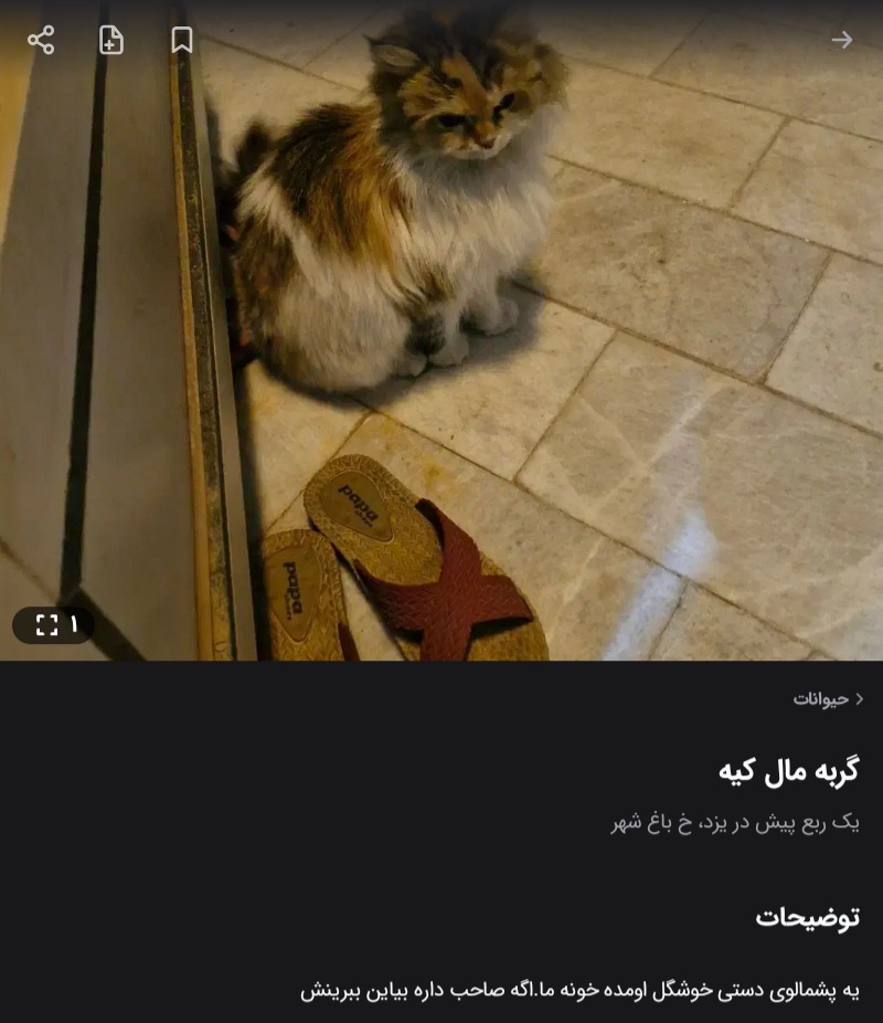 خوب بودن؛ سهل و ممتنع، مثل شعرهای سعدی!