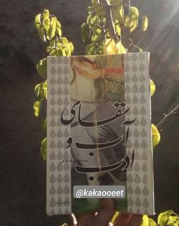 درباره کتاب سقای آب و ادب