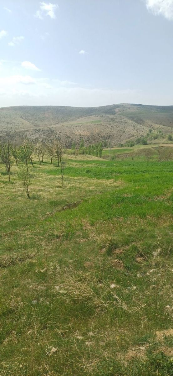 طبیعت اردیبهشت روستای سنگ سفید(شوداغ)