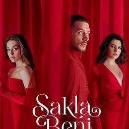 معرفی سریال مرا پنهان کن