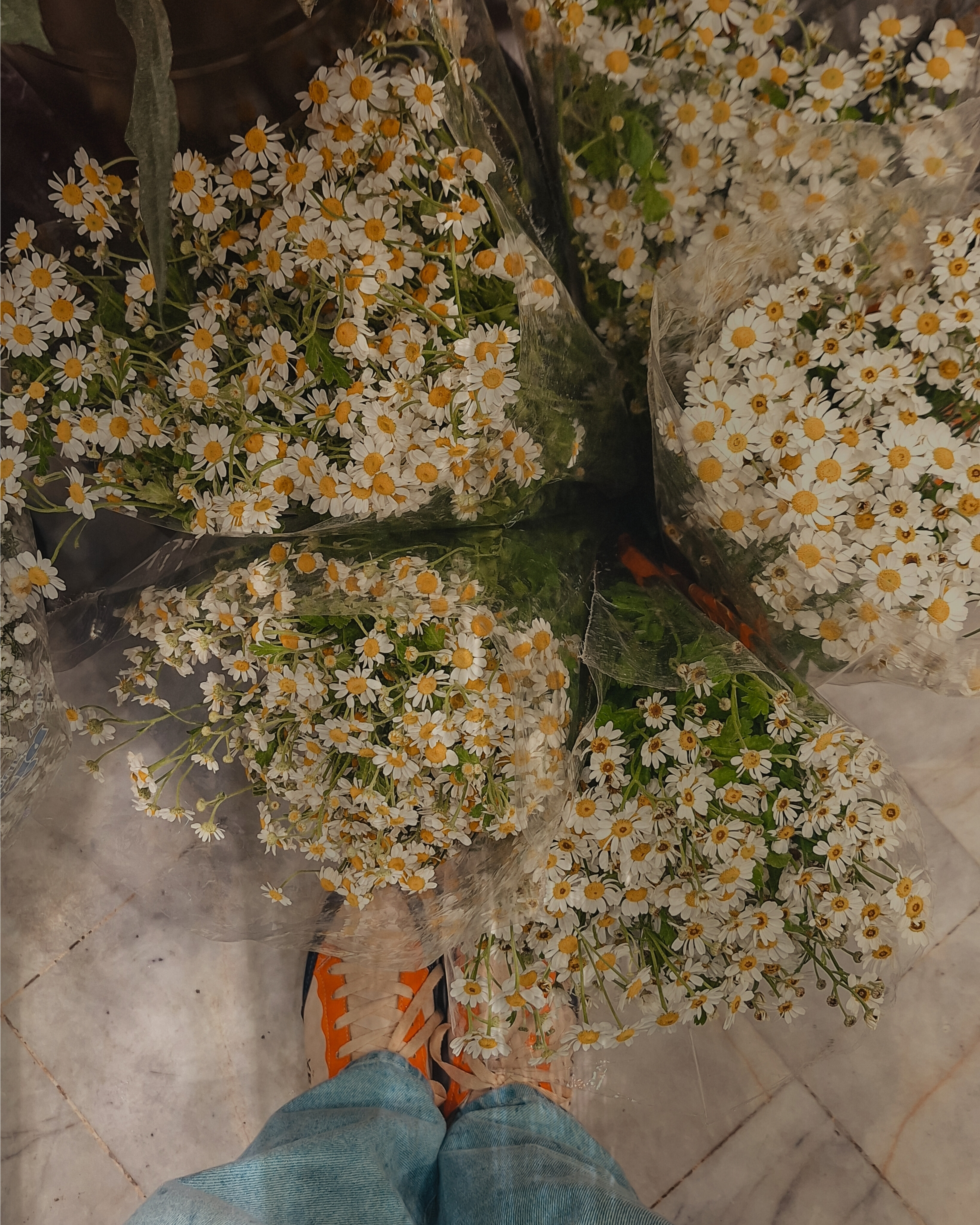 تو به چشمِ من این شکلی بودی.