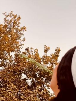 این قلبِ کاغذی