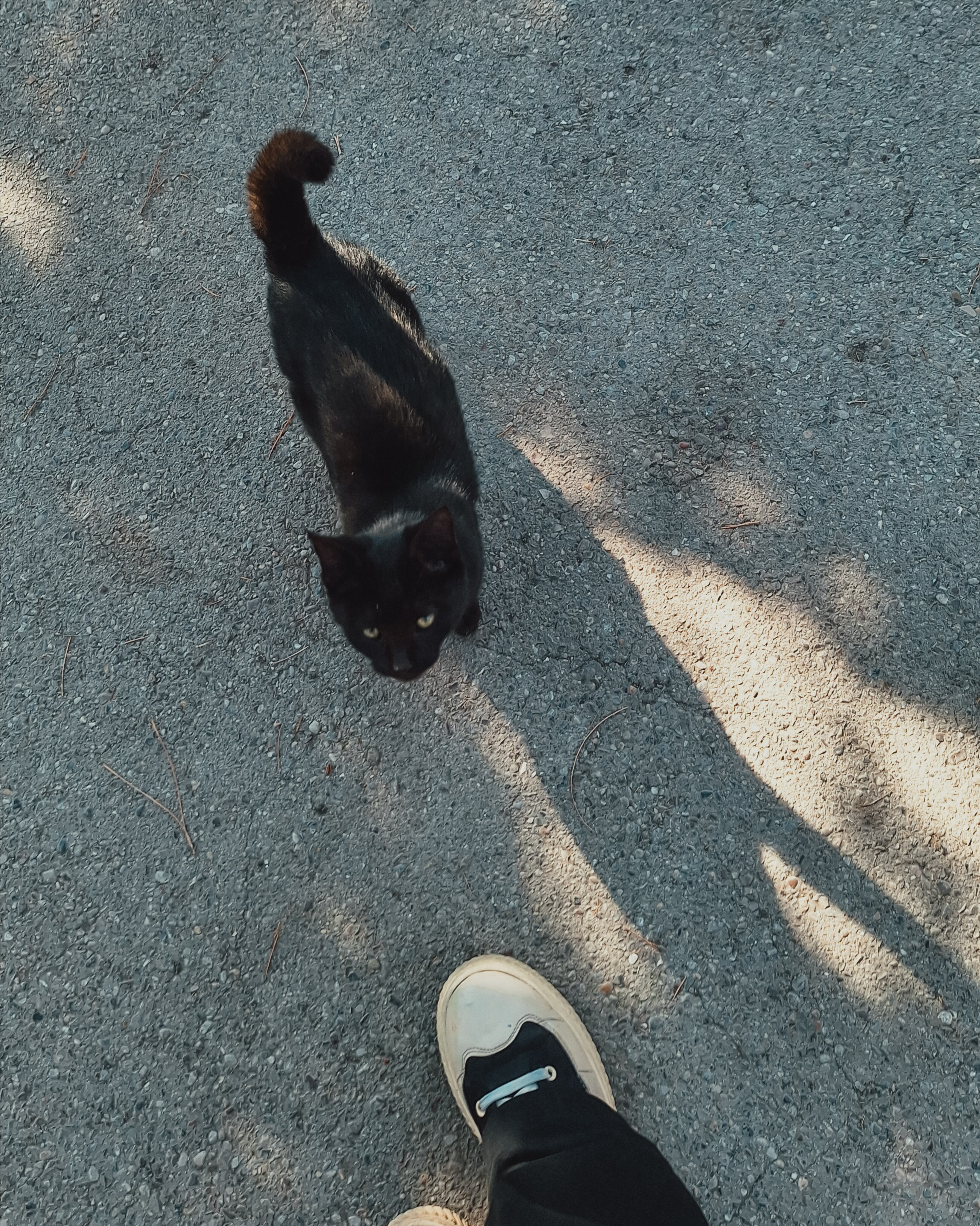 دخترک قشنگم: