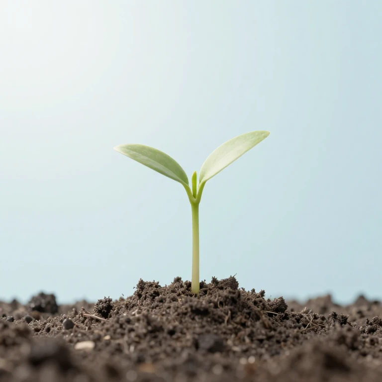 از نو زندگی میکنم