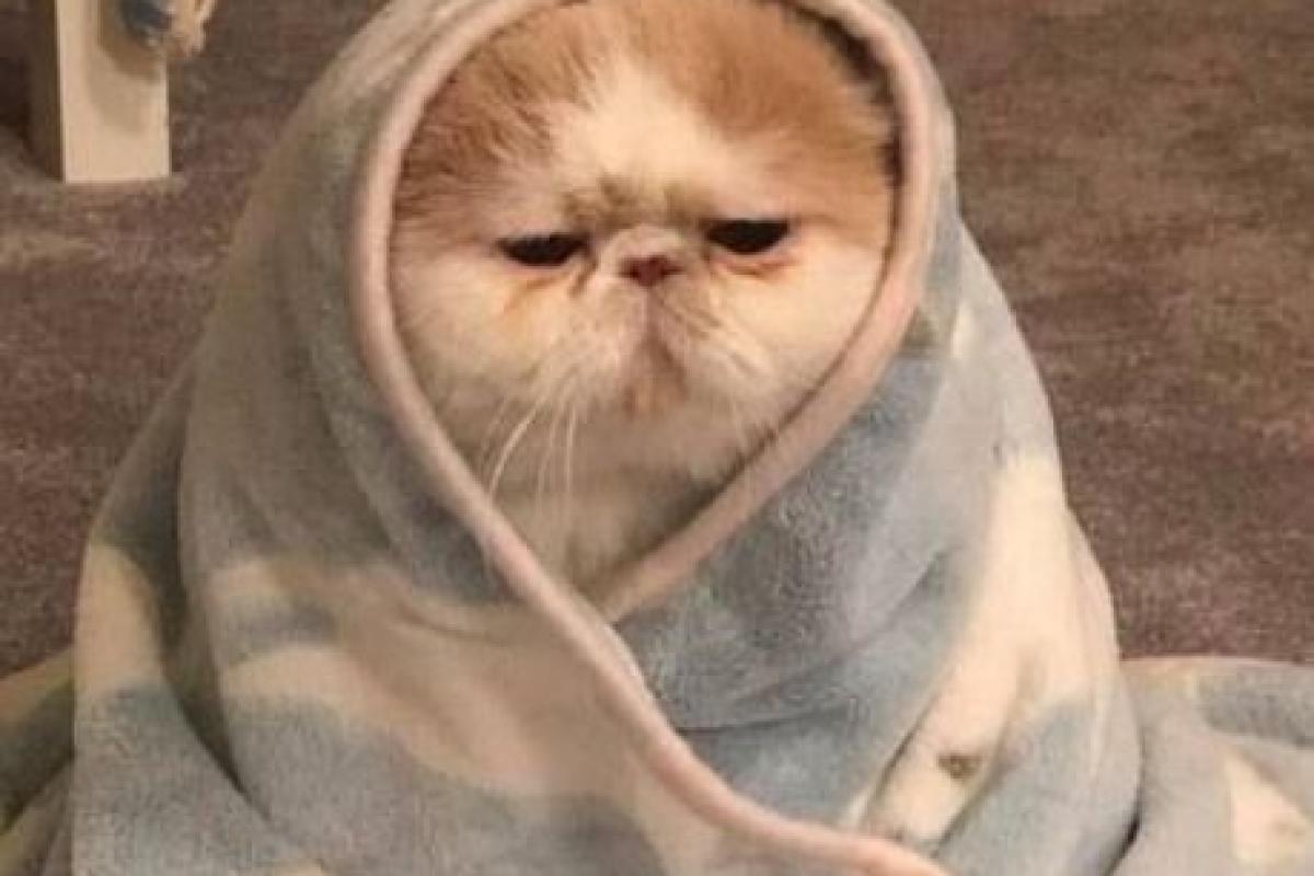 بتمن بابا یالانده دنیا