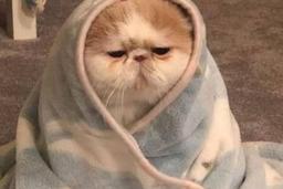 بتمن بابا یالانده دنیا