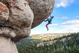 پیچ رولپلاک نما و چیزهایی که باید باید بدانید!