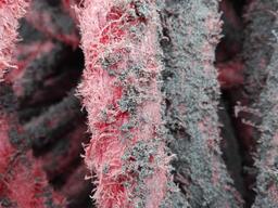 کمی حدیث نفس