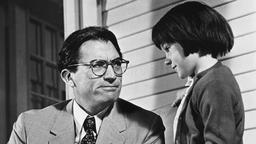 نقد و بررسی کتاب «برو دیده‌بانی بگمار» اثر هارپر لی