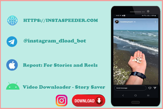 IG Story Downloader Tools
