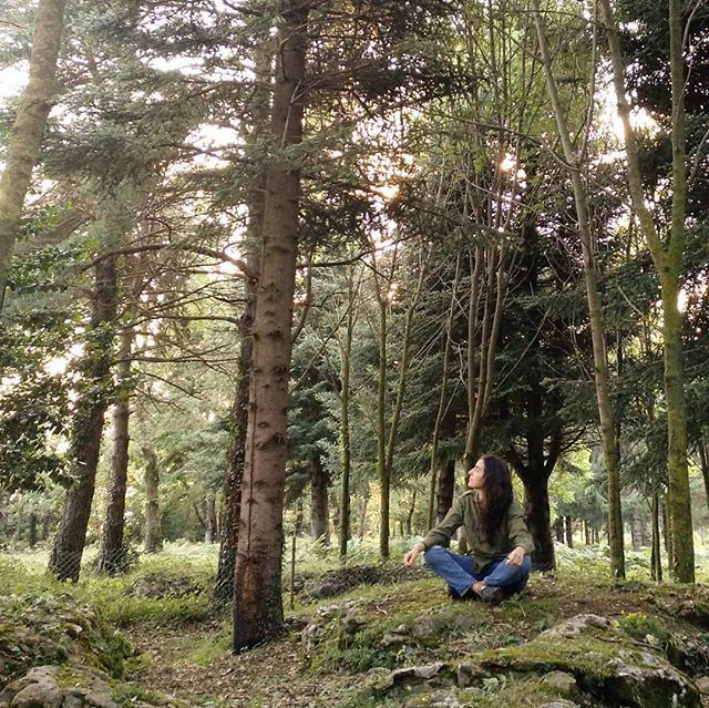 بالاخره کدامَم را باور کنم؟