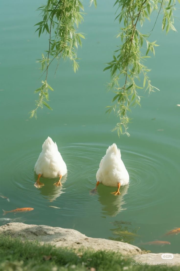زندگی دو نفری